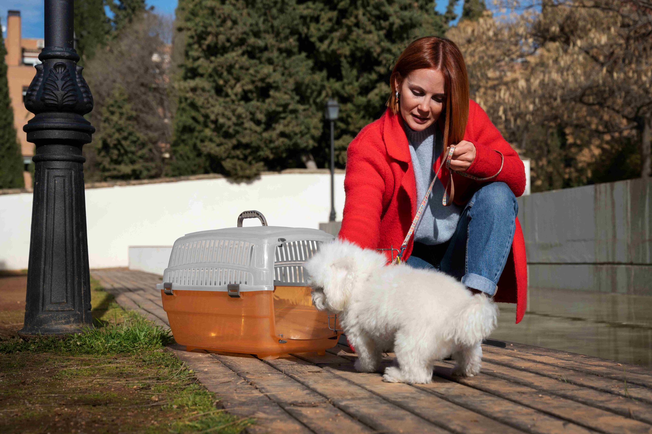 How Dog Boarding Dubai Helps Reduce Separation Anxiety in Pets